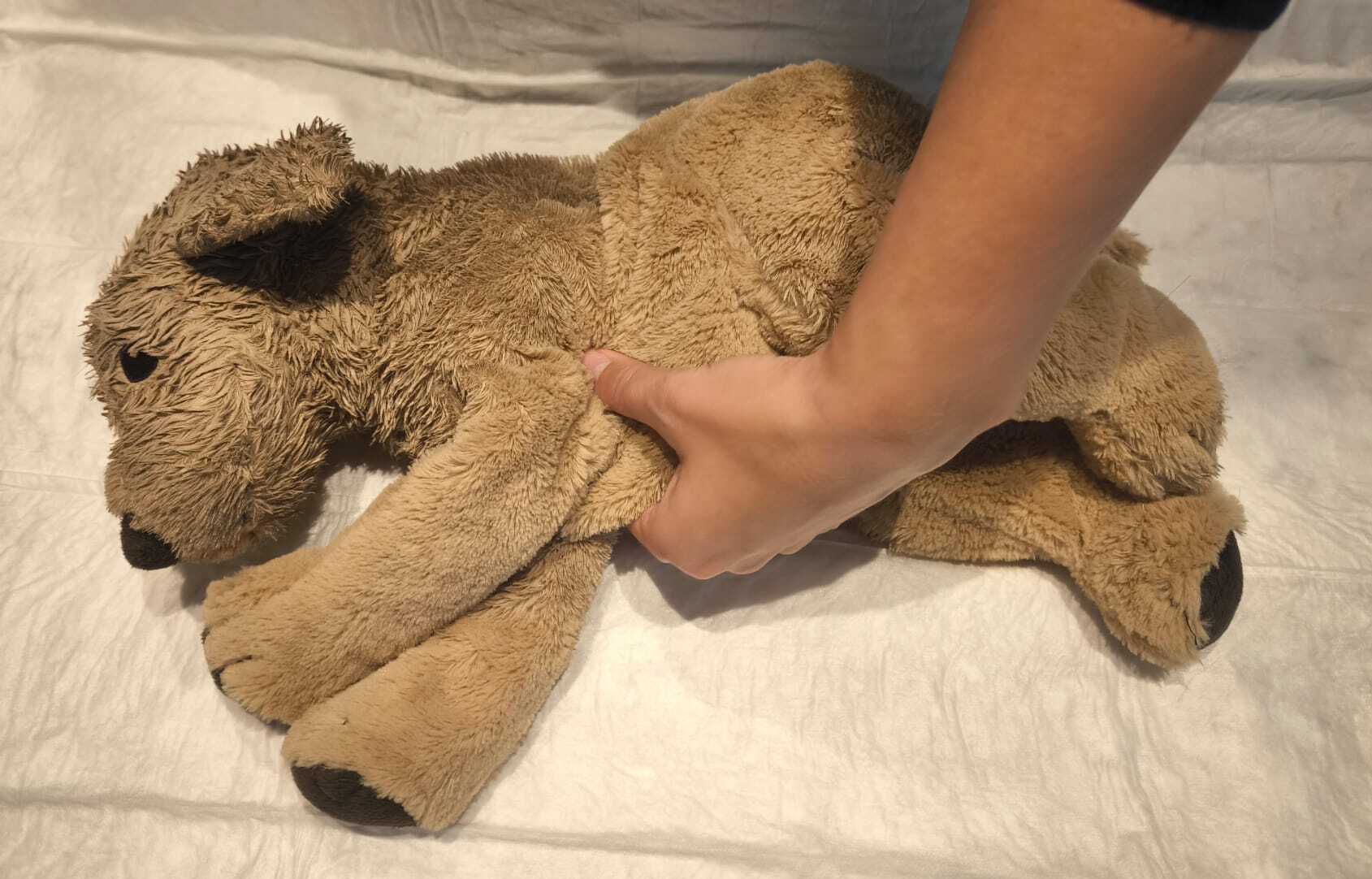 Bei einem Kuscheltier wird eine Wiederbelebung mit der Hand gemacht.