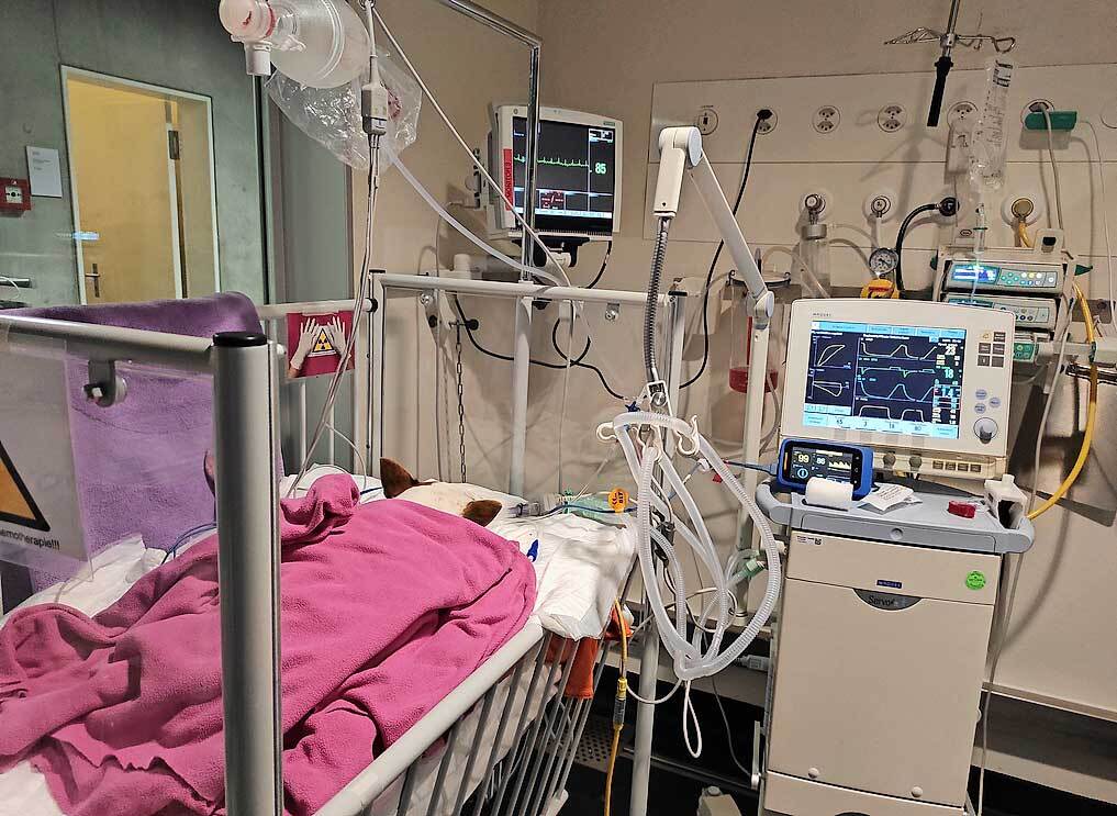 Ein Patient nach erfolgreicher CPR und Erlangen einer ROSC. Der Patient wird maschinell beatmet.